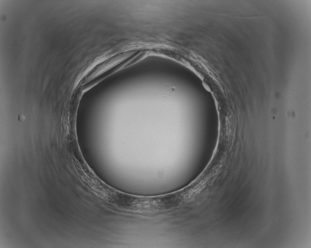 X0000085831165200703301612