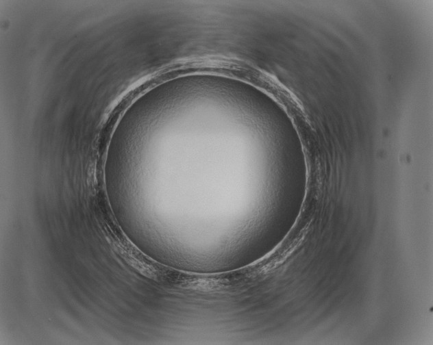 X0000085831166200703301612