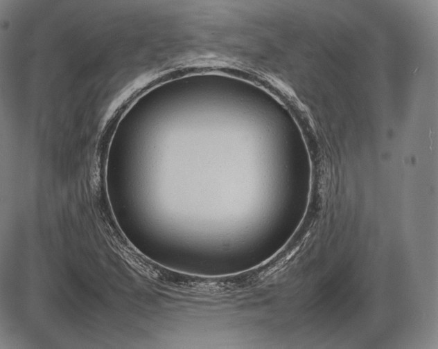 X0000085831167200703301612