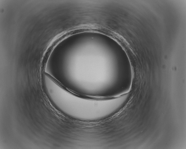 X0000085831168200703301612