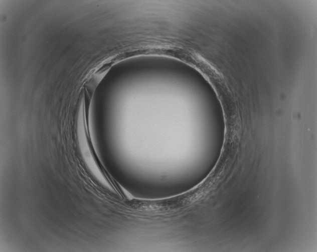 X0000085831169200703301612