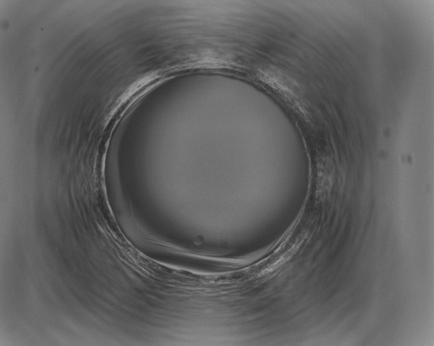 X0000085831170200703301612