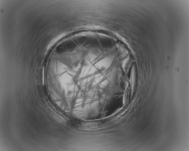 X0000085831171200703301611