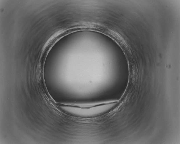 X0000085831172200703301611