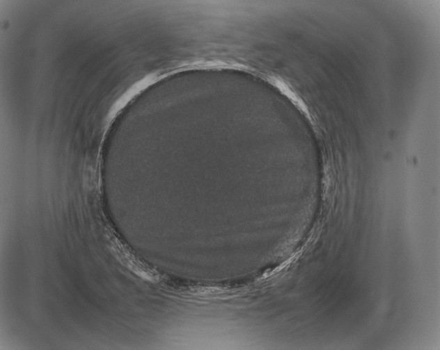 X0000085831173200703301611