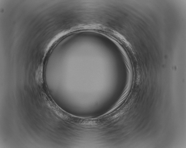 X0000085831174200703301611