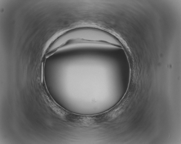 X0000085831175200703301611