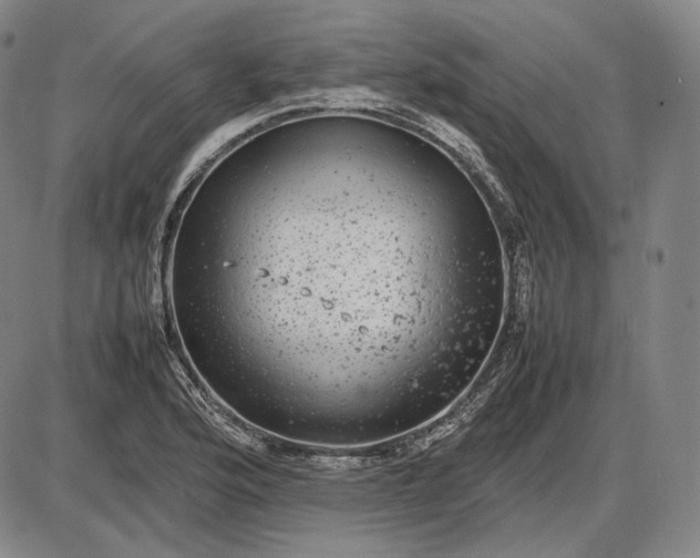 X0000085831176200703301611