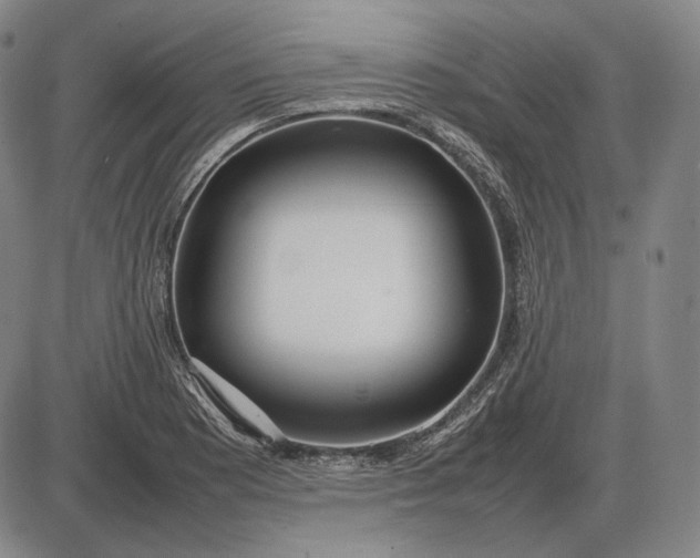 X0000085831177200703301611