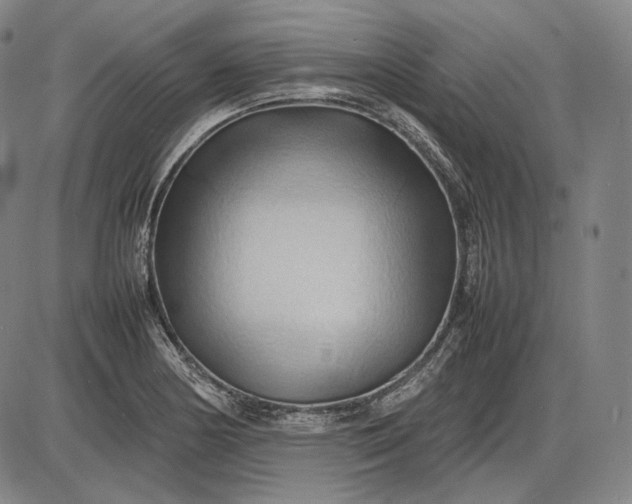 X0000085831178200703301611