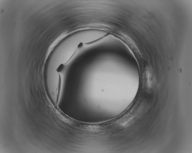 X0000085831180200703301611