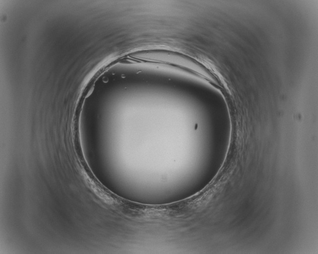 X0000085831181200703301611