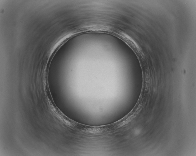 X0000085831182200703301611