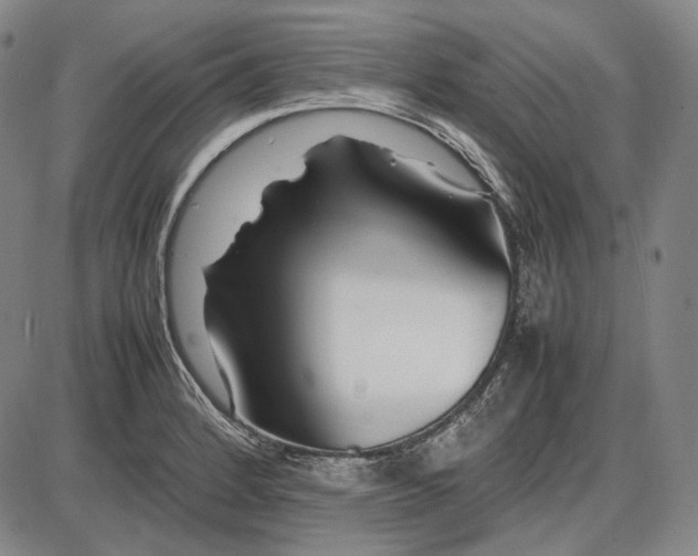 X0000085831184200703301611