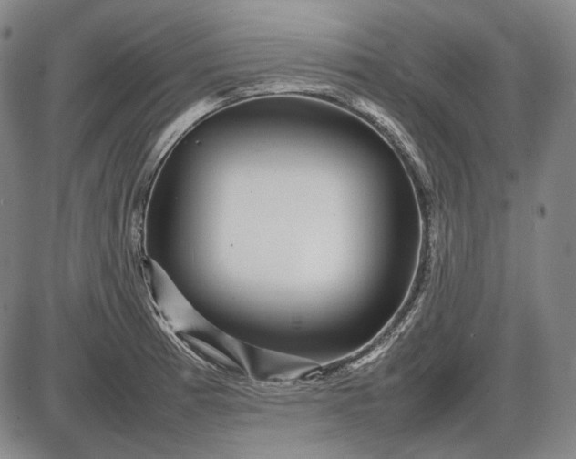 X0000085831185200703301611