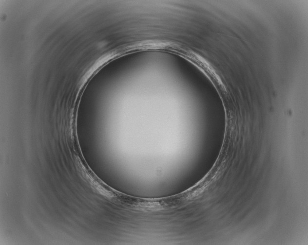 X0000085831186200703301611