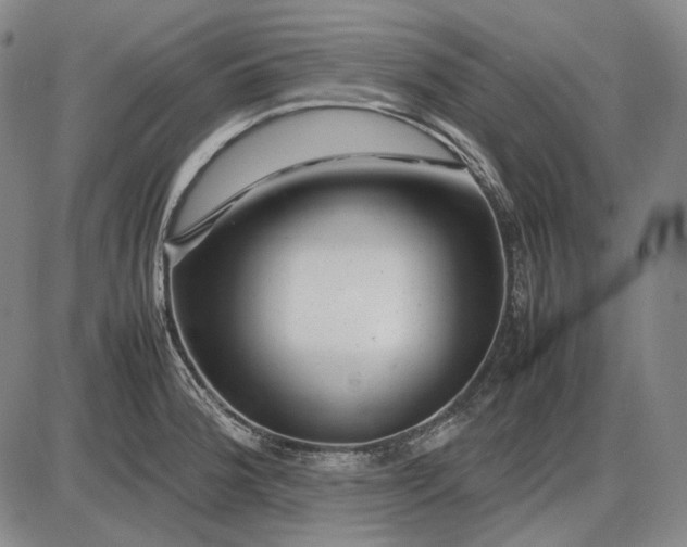 X0000085831188200703301611