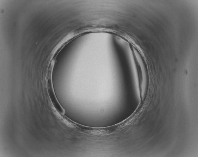 X0000085831189200703301611