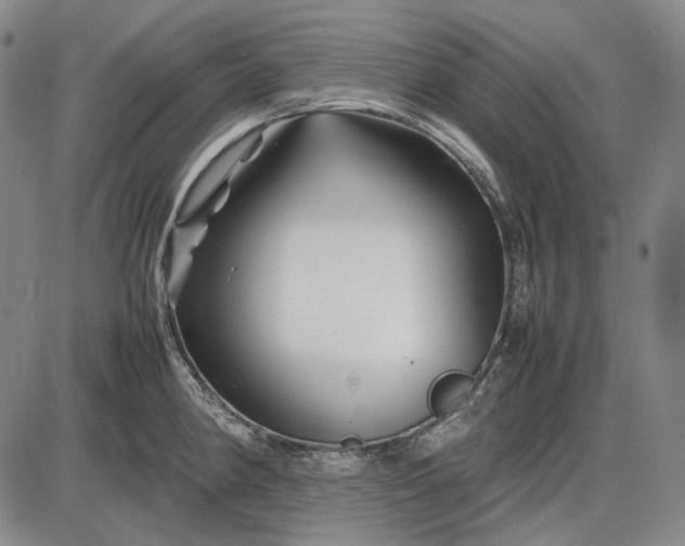 X0000085831190200703301611