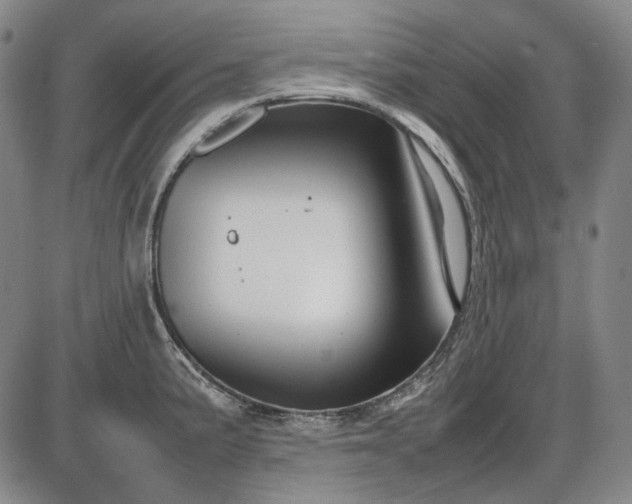 X0000085831191200703301611