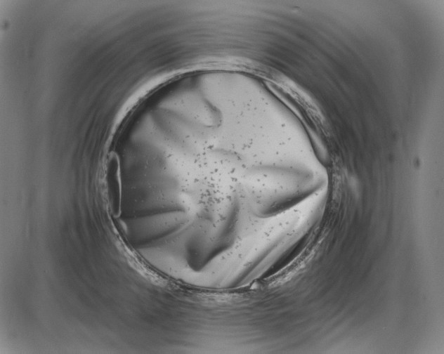 X0000085831192200703301611