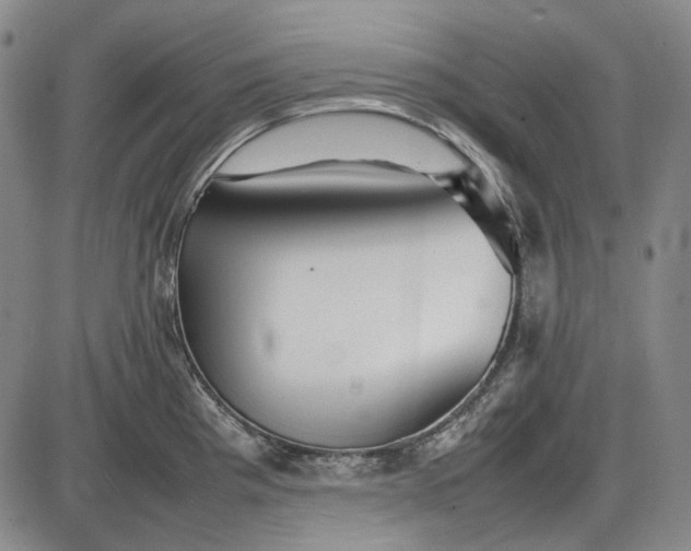 X0000085831193200703301611