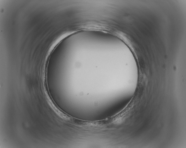 X0000085831195200703301611