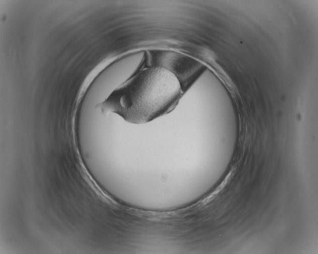 X0000085831196200703301611