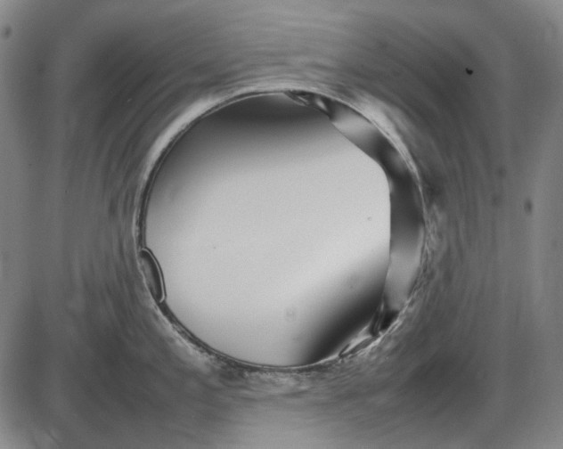 X0000085831197200703301611