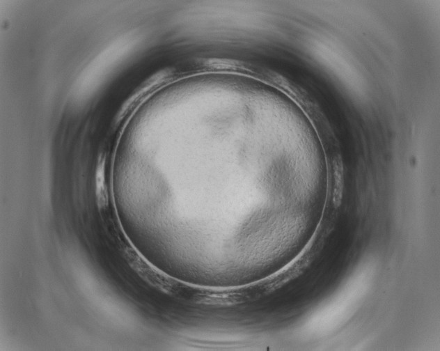 X0000085831198200703301611