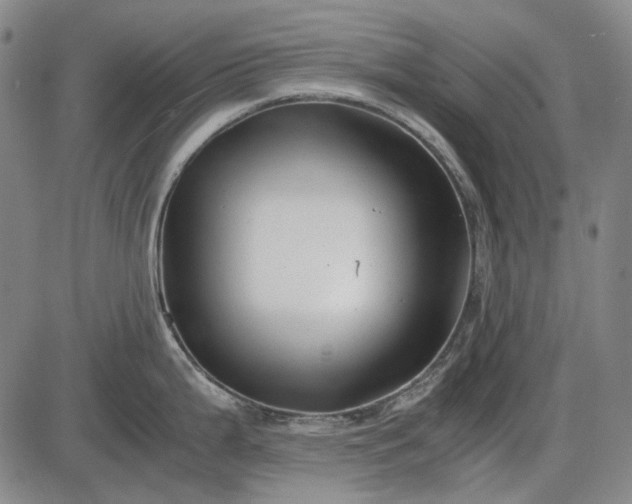 X0000085831199200703301611