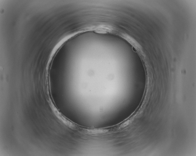 X0000085831200200703301611