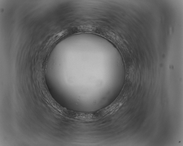 X0000085831201200703301610