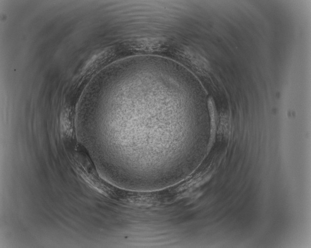 X0000085831202200703301610