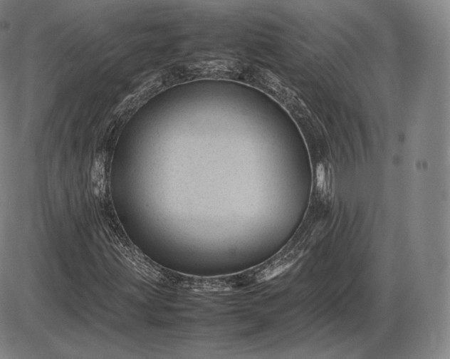 X0000085831203200703301610