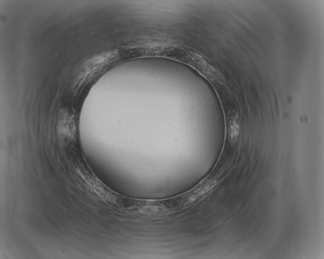 X0000085831204200703301610