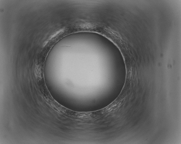 X0000085831205200703301610