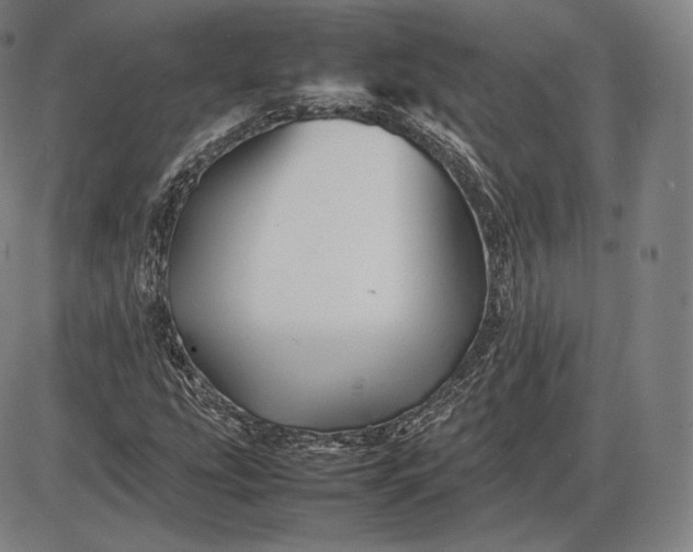 X0000085831207200703301610