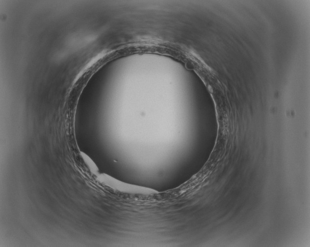 X0000085831208200703301610