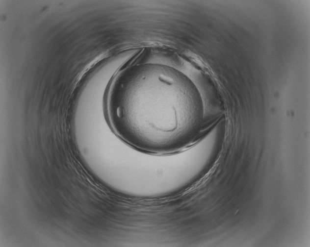 X0000085831210200703301610