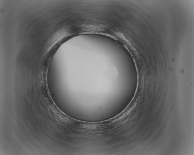 X0000085831211200703301610