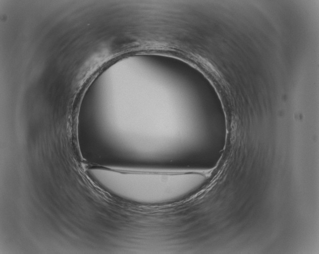 X0000085831212200703301610