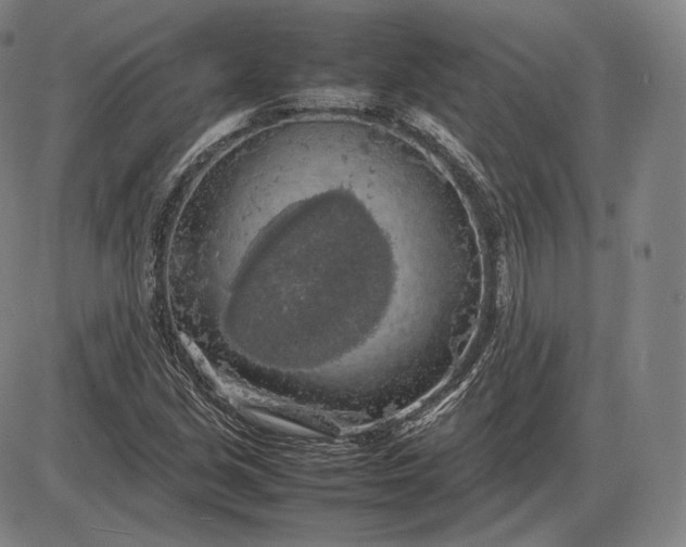 X0000085831213200703301610