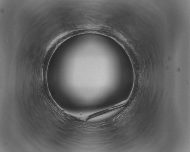 X0000085831214200703301610