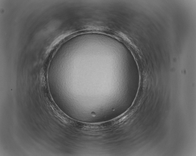 X0000085831215200703301610