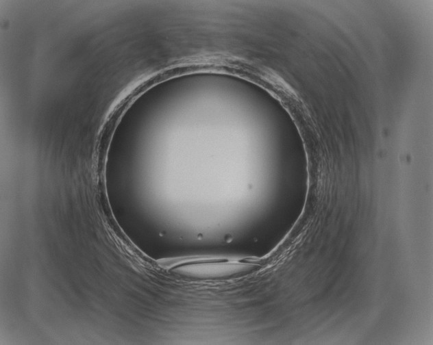 X0000085831216200703301610