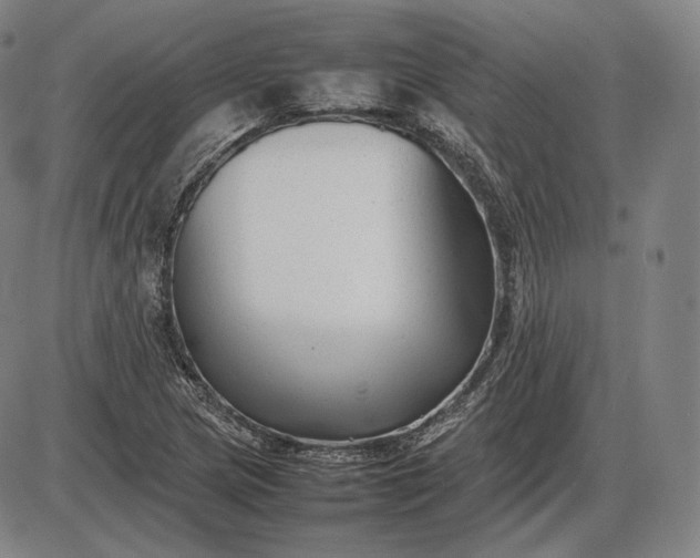 X0000085831217200703301610