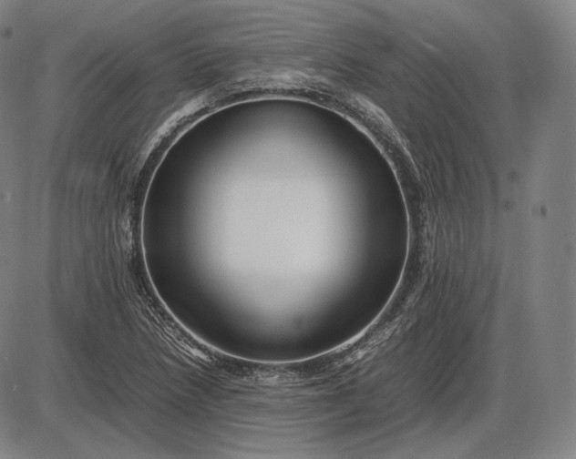 X0000085831218200703301610