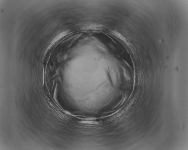 X0000085831219200703301611