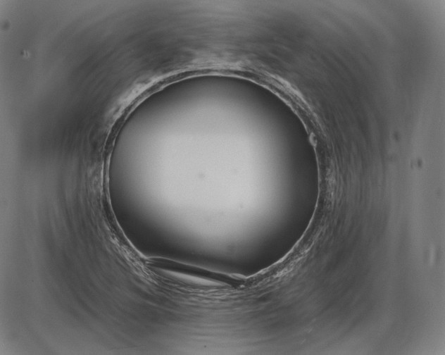 X0000085831220200703301611